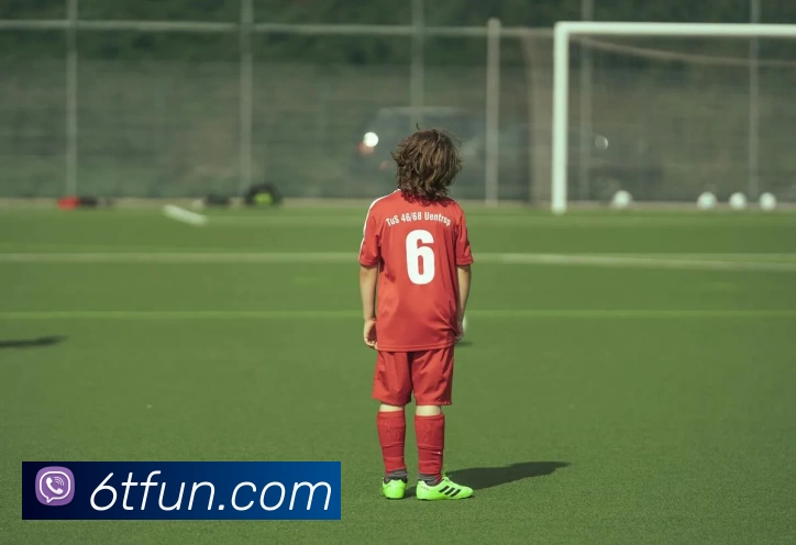 6T体育官网发展历程