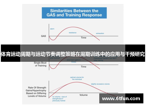 体育运动周期与运动节奏调整策略在周期训练中的应用与干预研究